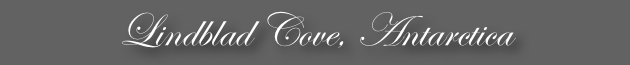 Lindblad Cove, Antarctica