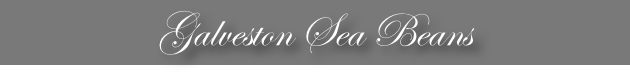 Galveston Sea Beans